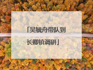 吴毓舟带队到长卿镇调研